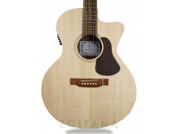 APC EA 100 CW APC EA 100 CW